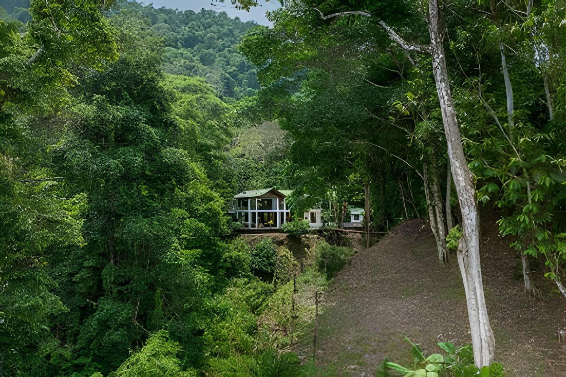The Jungle Inn Dominicalito Exterior foto